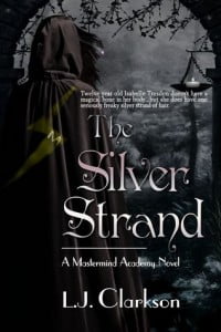 The Silver Strand